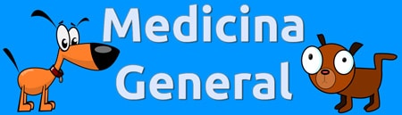Banner de la sección de medicina general y vacunas de la clínica.